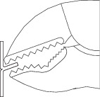 https://fileshare.gedore.com/s/9EZB4Q9N4ymesXf