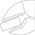 https://fileshare.gedore.com/s/n9pQcFcGYTnxJnW