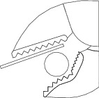 https://fileshare.gedore.com/s/bG2CcAiT73AfEWP